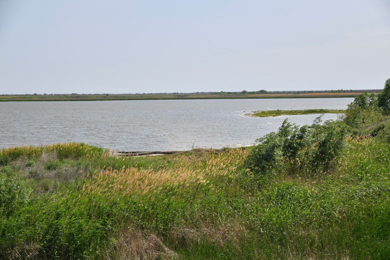 Осенью в Саратовской области наполнят водой 88 прудов